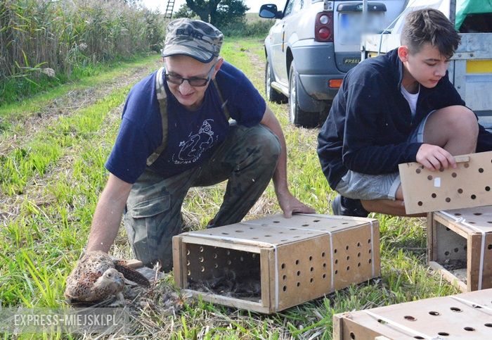 Akcja "Ożywić pola"