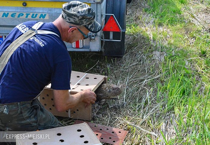 Akcja "Ożywić pola"