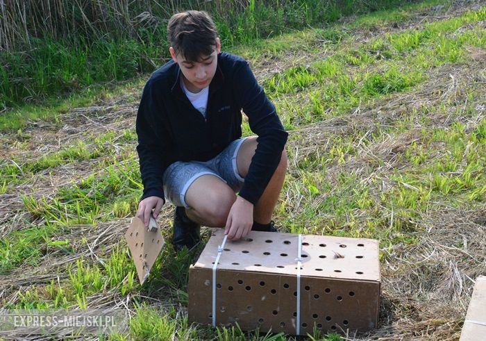 Akcja "Ożywić pola"