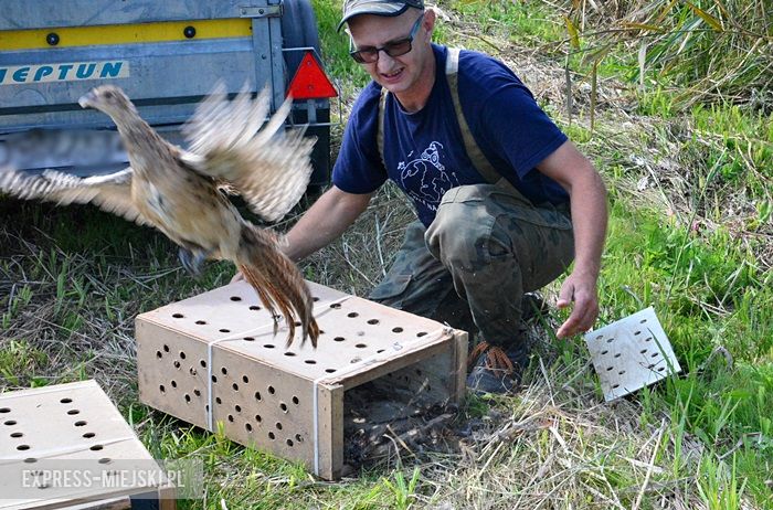 Akcja "Ożywić pola"