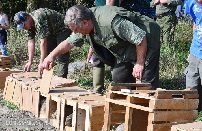 Akcja "Ożywić pola"