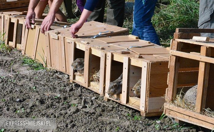 Akcja "Ożywić pola"