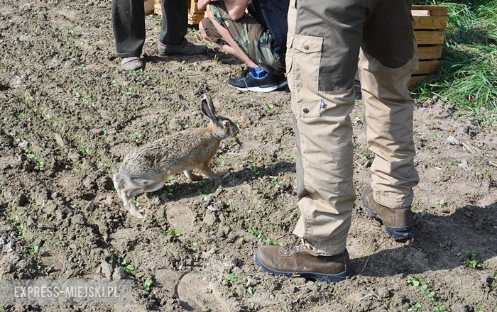 Akcja "Ożywić pola"