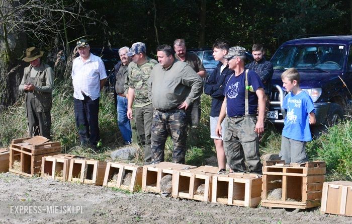 Akcja "Ożywić pola"