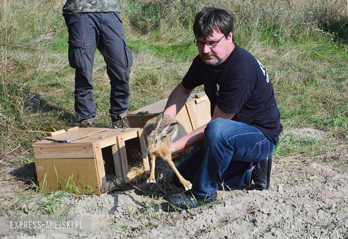 Akcja "Ożywić pola"