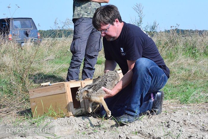 Akcja "Ożywić pola"