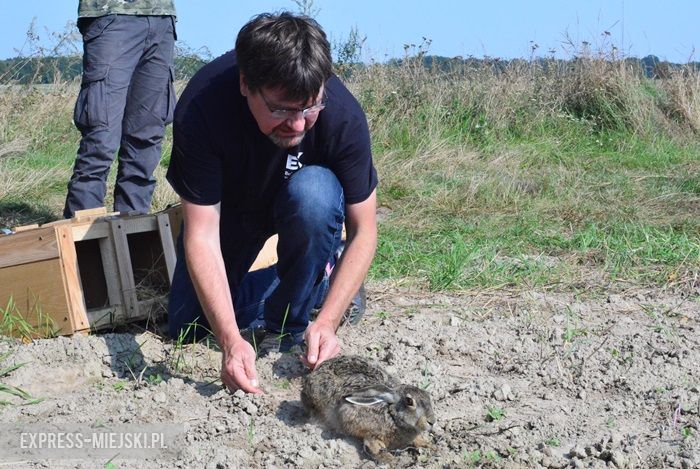 Akcja "Ożywić pola"