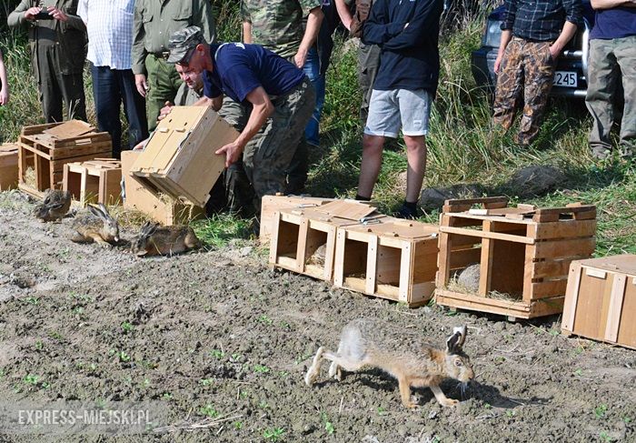 Akcja "Ożywić pola"