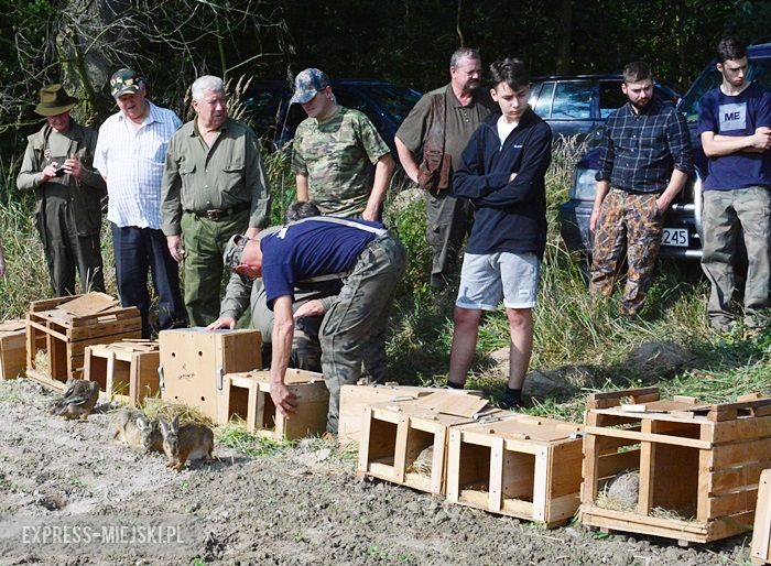 Akcja "Ożywić pola"