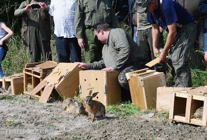 Akcja "Ożywić pola"