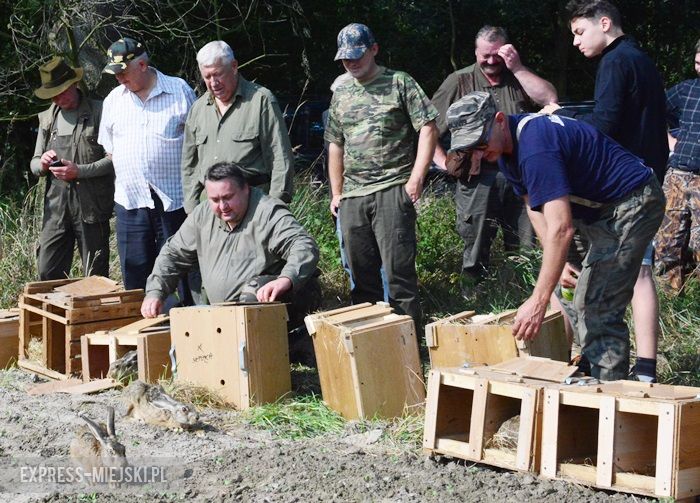 Akcja "Ożywić pola"