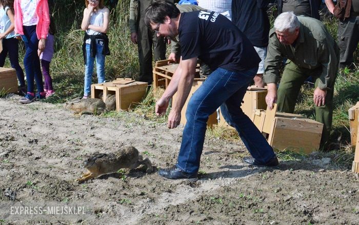 Akcja "Ożywić pola"