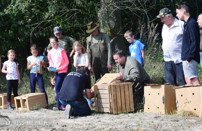 Akcja "Ożywić pola"