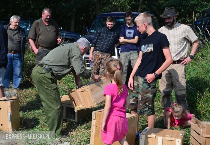 Akcja "Ożywić pola"