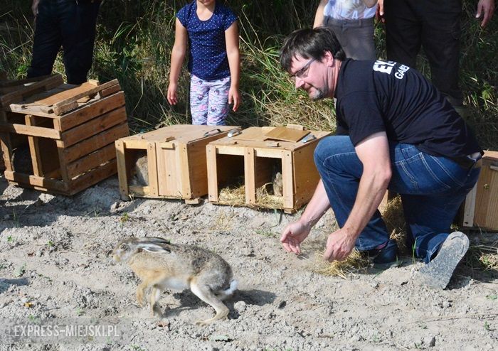 Akcja "Ożywić pola"