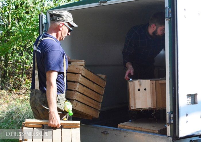 Akcja "Ożywić pola"