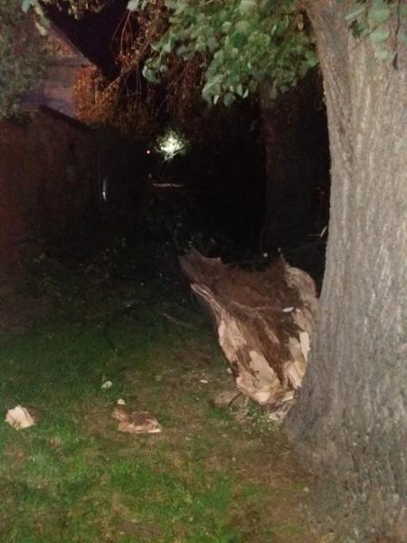 Akcja strażaków w Udaninie