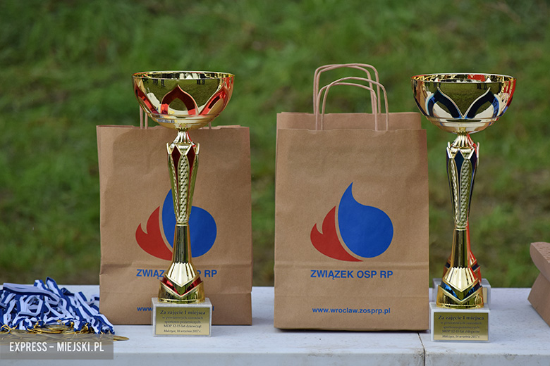 Powiatowe zawody sportowo-pożarnicze w Malczycach