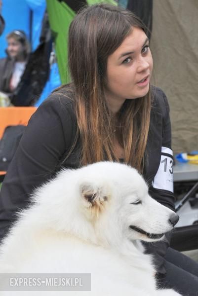 XXV Międzynarodowa Wystawa Psów Rasowych