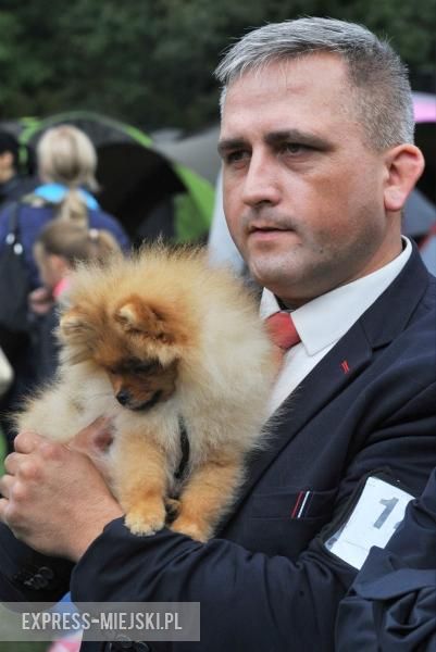 XXV Międzynarodowa Wystawa Psów Rasowych