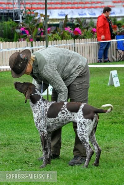 XXV Międzynarodowa Wystawa Psów Rasowych