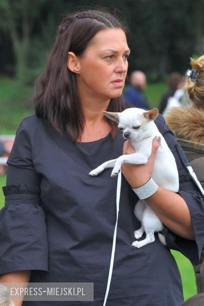 XXV Międzynarodowa Wystawa Psów Rasowych