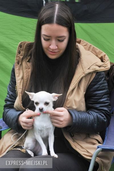 XXV Międzynarodowa Wystawa Psów Rasowych