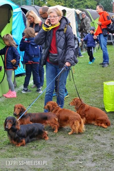 XXV Międzynarodowa Wystawa Psów Rasowych