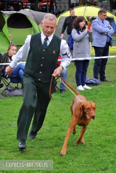 XXV Międzynarodowa Wystawa Psów Rasowych