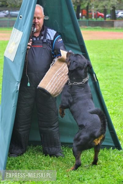 XXV Międzynarodowa Wystawa Psów Rasowych