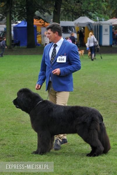 XXV Międzynarodowa Wystawa Psów Rasowych