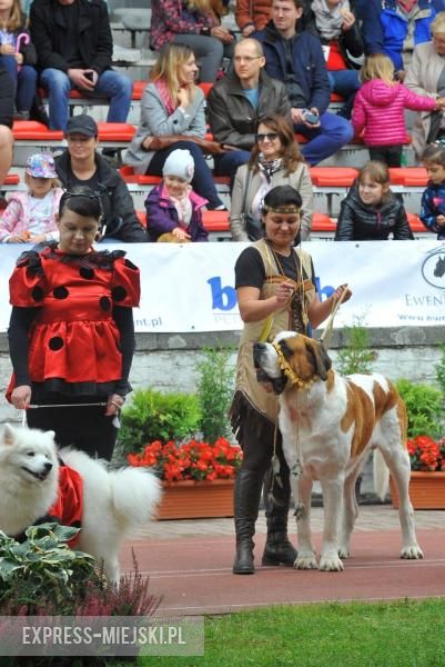XXV Międzynarodowa Wystawa Psów Rasowych