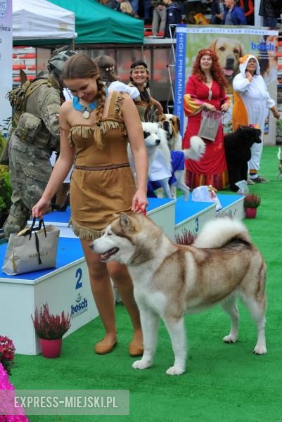 XXV Międzynarodowa Wystawa Psów Rasowych
