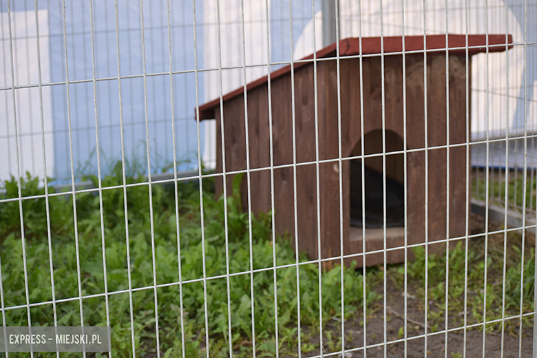 Gminny punkt przechowywania zwierząt