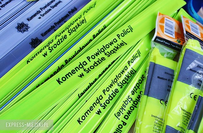 Piknik policyjny w Środzie Śląskiej