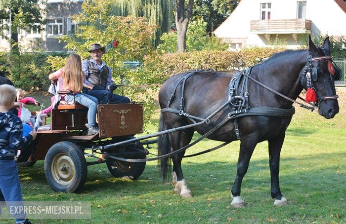 Piknik policyjny w Środzie Śląskiej