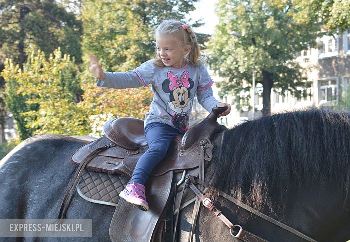 Piknik policyjny w Środzie Śląskiej
