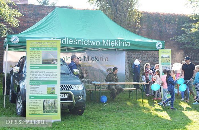 Piknik policyjny w Środzie Śląskiej