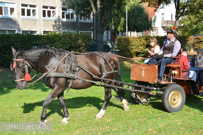 Piknik policyjny w Środzie Śląskiej