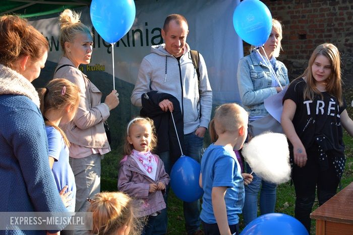 Piknik policyjny w Środzie Śląskiej