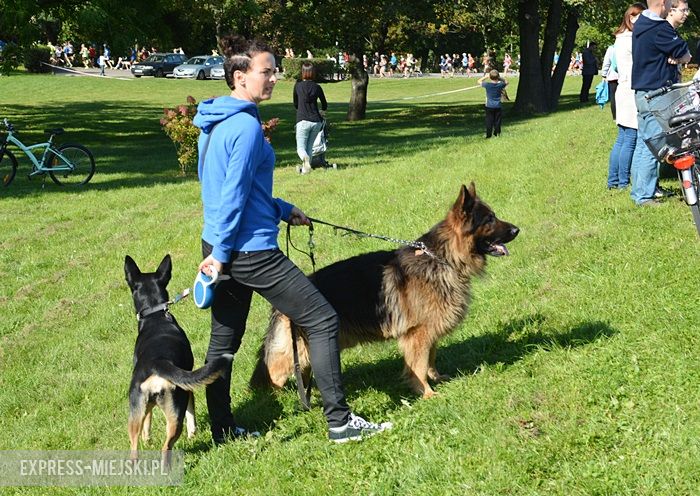 HMT II Bieg o Skarb Średzki