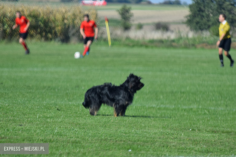 Orzeł Pichorowice - Unia Rosochata 2:3
