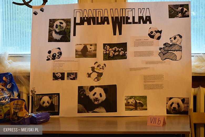 Spotkanie z weterynarzem i przedstawicielami schroniska