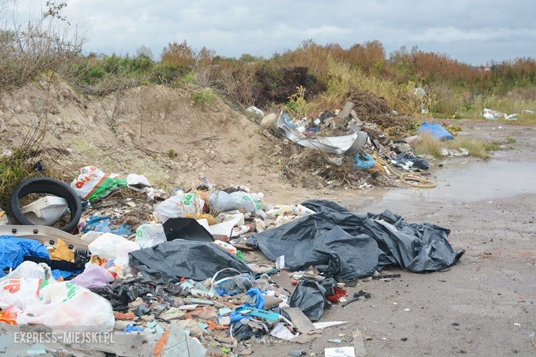 Dzikie wysypisko śmieci w Malczycach