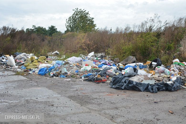 Dzikie wysypisko śmieci w Malczycach