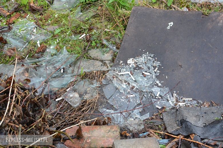 Dzikie wysypisko śmieci w Malczycach