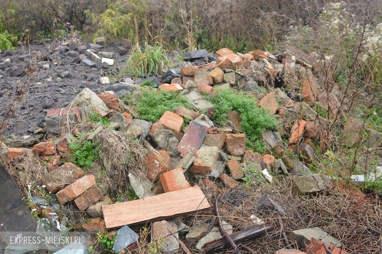 Dzikie wysypisko śmieci w Malczycach