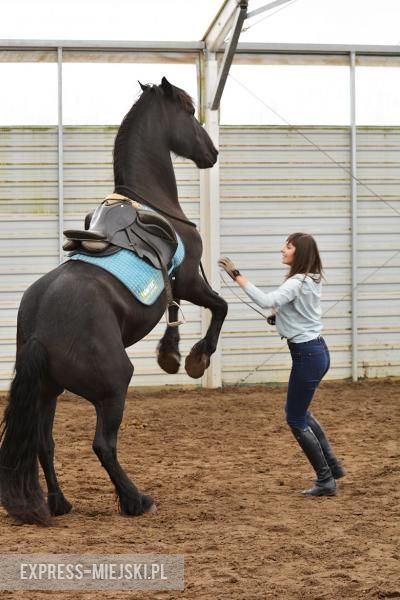 Hubertus 2017 w Gałowie