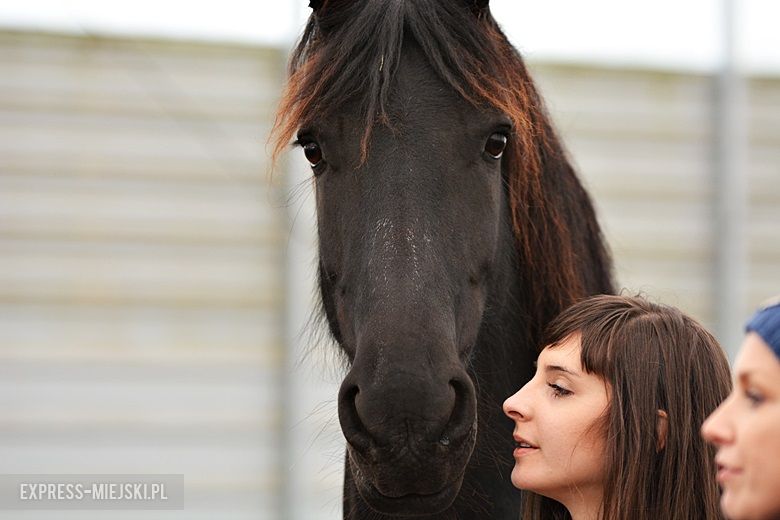 Hubertus 2017 w Gałowie