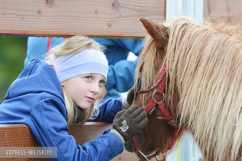Hubertus 2017 w Gałowie